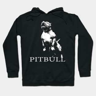 american pitbull Hoodie